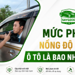 Mức phạt nồng độ cồn ô tô