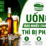Uống bao nhiêu chai bai thì bị phạt