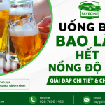 Uống bia bao lâu hết nồng độ cồn